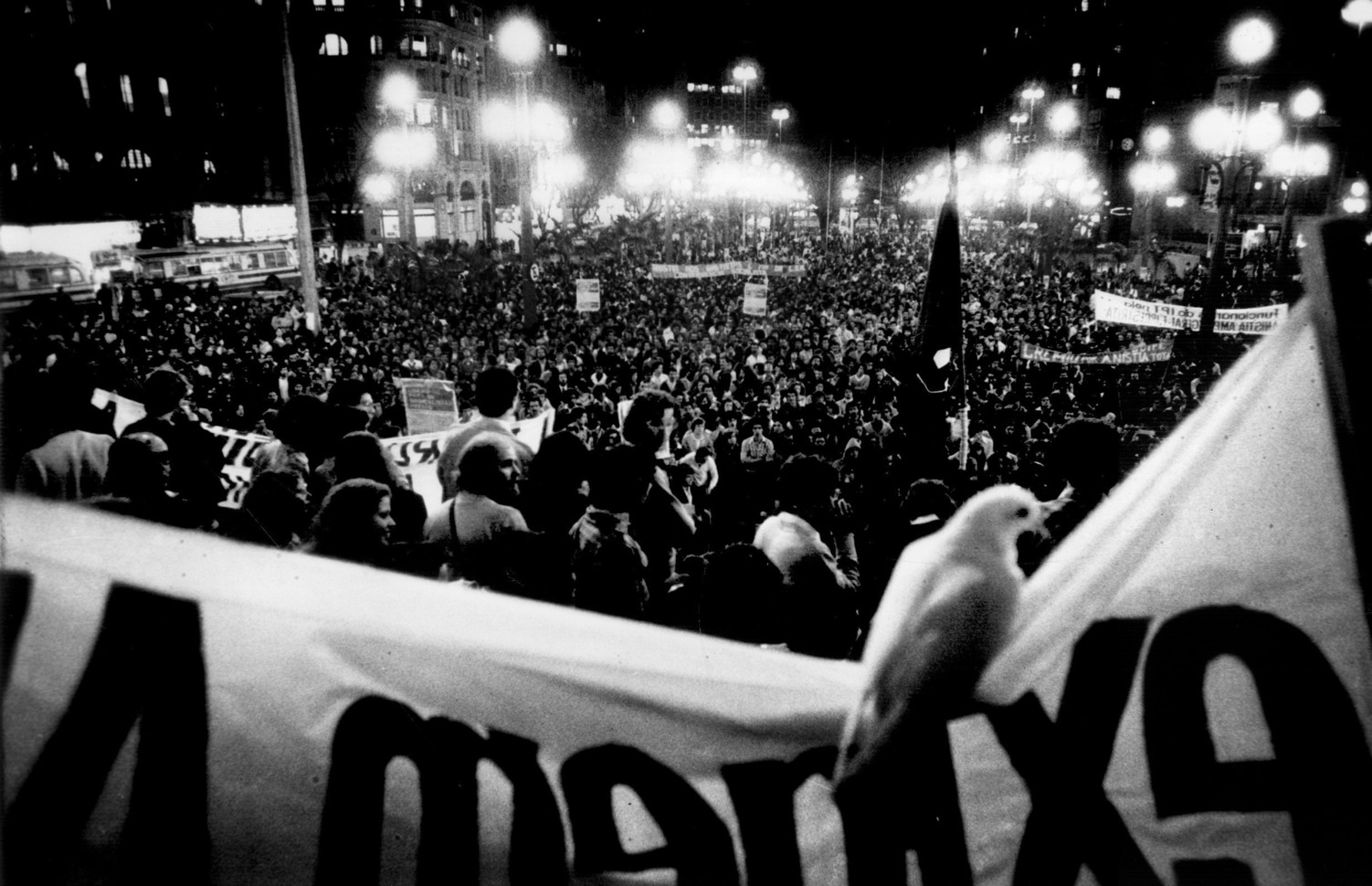 Pomba pousa sobre faixa durante ato em favor da anistia a exilados e presos políticos, na praça da Sé, centro de São Paulo, em 21 de agosto de 1979. 
